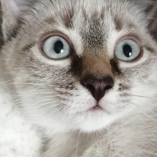 Kate Shaw On Codepen - Best Gradient Photos in Desktop