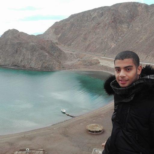 Mahmoud Nasser - Mountain Textures - Premium 8K Collection