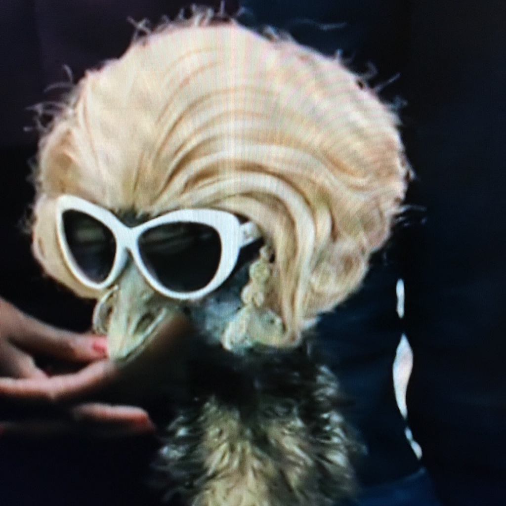 Ken Snyder On Codepen - City Pattern Collection - HD Quality