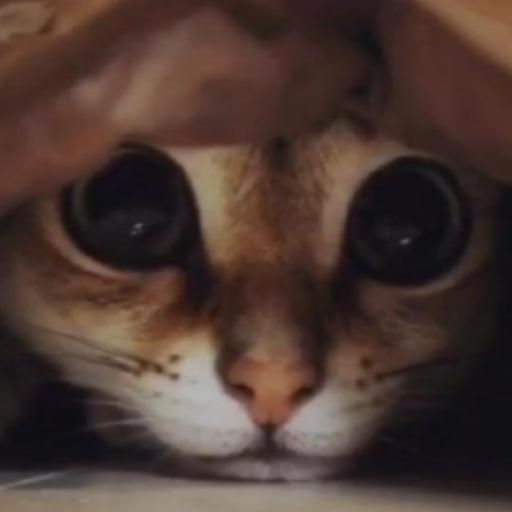 Clement On Codepen - Modern Desktop Landscape Backgrounds | Free Download