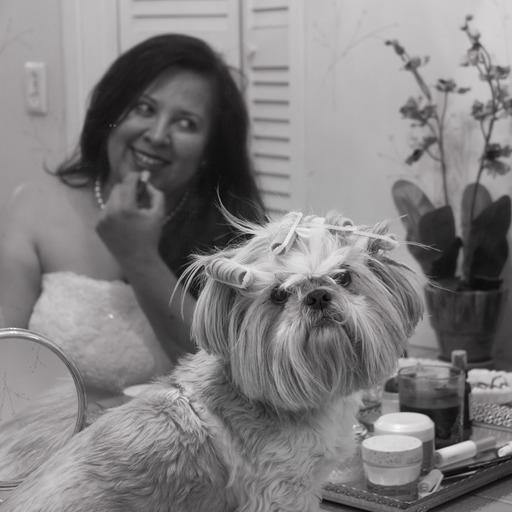 Christine On Codepen - Minimal Image Collection - Full HD Quality