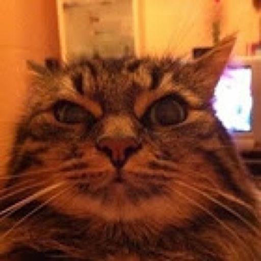 Markoz On Codepen - Best Minimal Wallpapers in Mobile