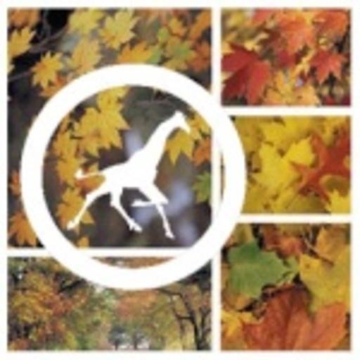 Roy On Codepen - Perfect Desktop City Pictures | Free Download