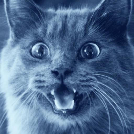 Jared On Codepen - Best Nature Arts in High Resolution