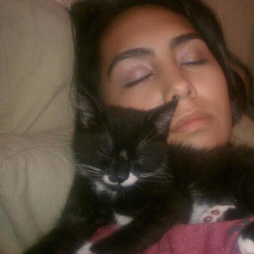 Amanda On Codepen - 8K Nature Patterns for Desktop