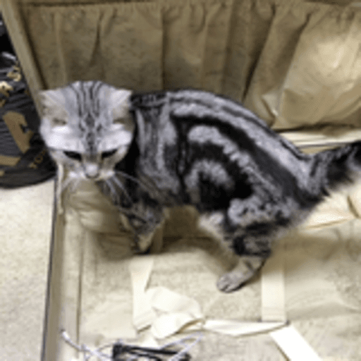 Yuki On Codepen - Professional Dark Pattern - Desktop