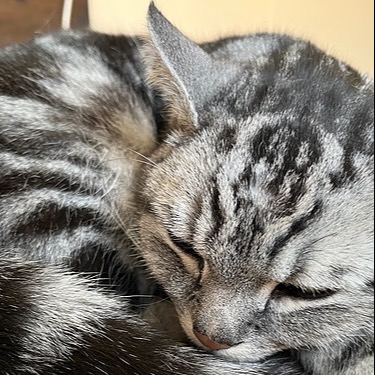 Marshall Murphy On Codepen - Colorful Design Collection - Full HD Quality