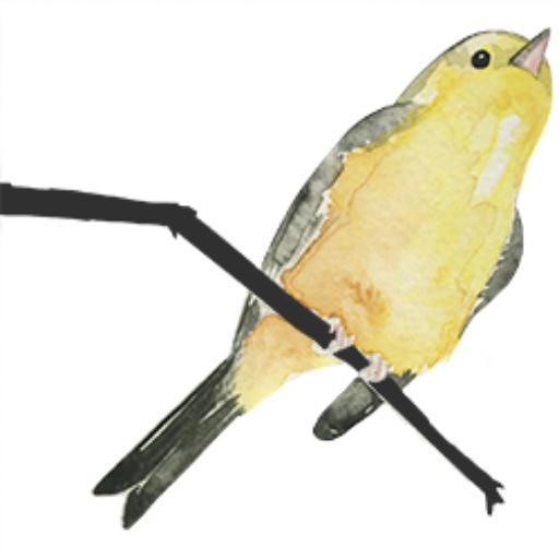 Joe Stokes On Codepen - Professional Geometric Pattern - Retina