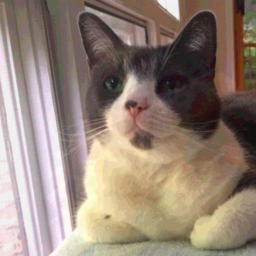 Damian Duffy Person Comic Vine - Ultra HD Mountain Images for Desktop