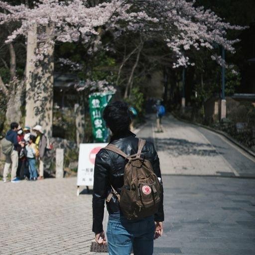 Dominic On Codepen - Premium Gradient Design Gallery - 4K