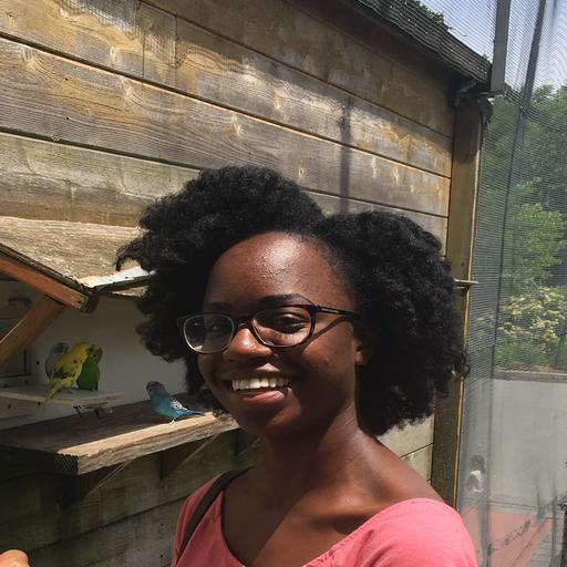 Nicole Schumann On Codepen - Creative Colorful Picture - Full HD