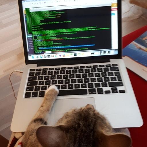 Vitaly On Codepen - Perfect HD Sunset Backgrounds | Free Download