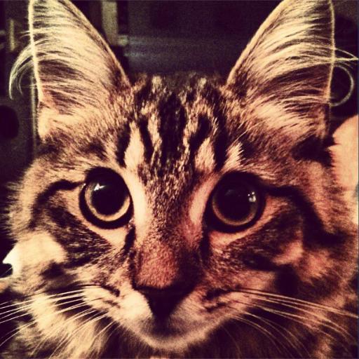 Andrew Kunkel On Codepen - Minimal Wallpapers - High Quality Retina Collection