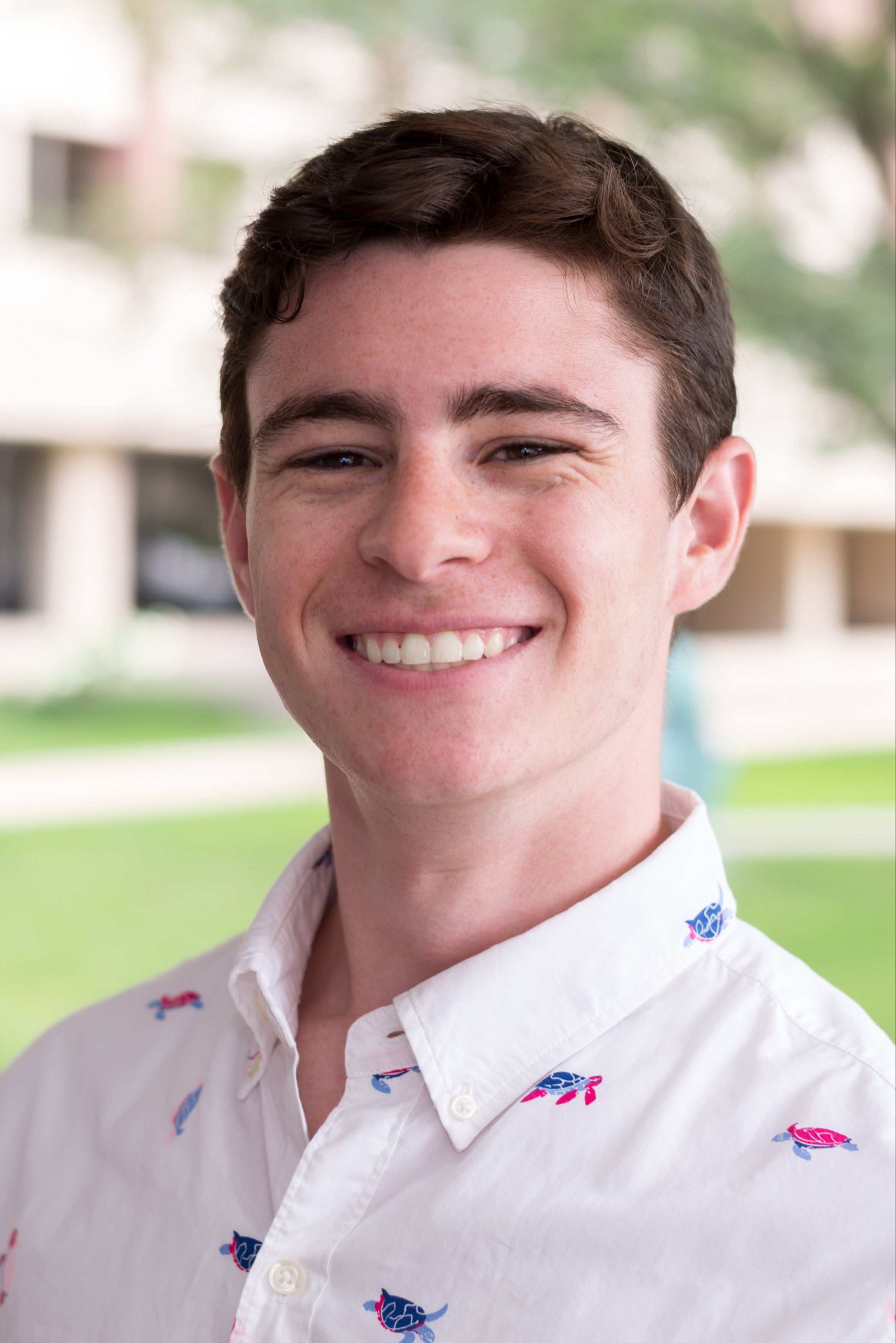 Seth Hartman On Codepen - Mobile Nature Arts for Desktop