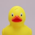 Rubber Ducky On Codepen - Download Ultra HD Landscape Background | 8K