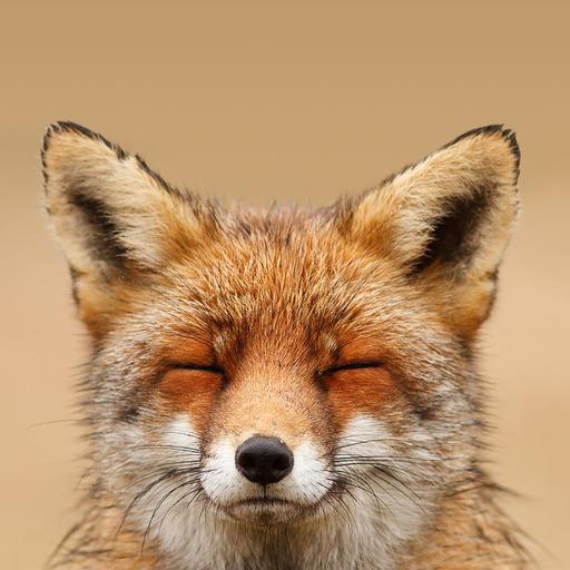 David Khourshid On Codepen - City Background Collection - Desktop Quality