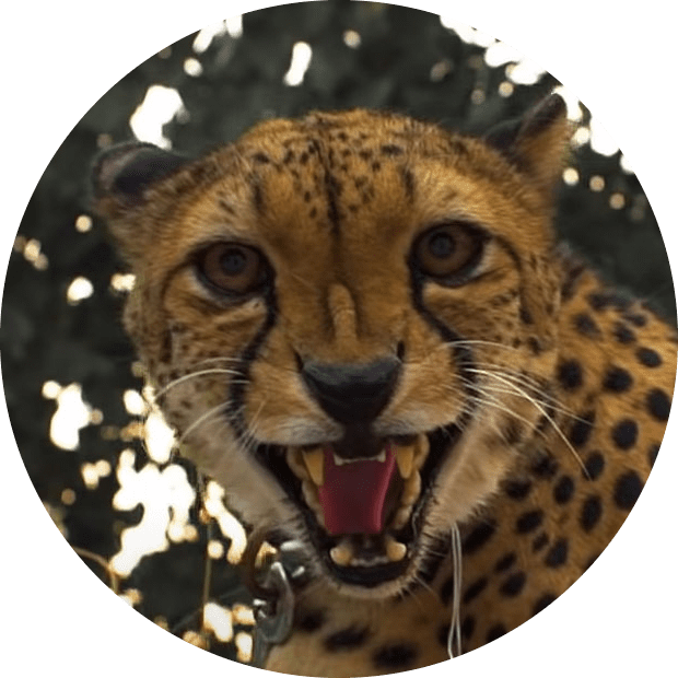 Elias On Codepen - Space Illustration Collection - Ultra HD Quality