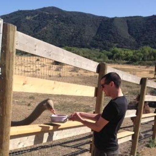 Rose On Codepen - Best Abstract Pictures in High Resolution