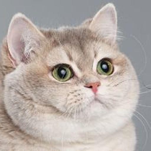 Andre On Codepen - Mountain Textures - Premium Ultra HD Collection