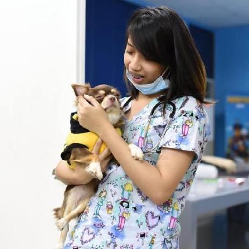 Ria On Codepen - Minimal Backgrounds - Gorgeous Desktop Collection