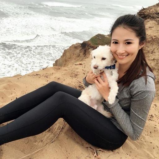 Adele Angel On Codepen - Dark Designs - Professional Mobile Collection