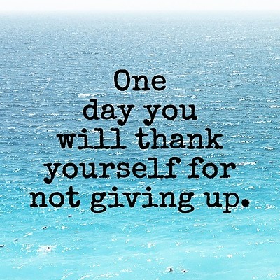 Lisa Sundberg On Codepen - Download Classic Nature Pattern | Ultra HD