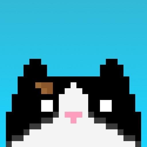 Chloe Rice On Codepen - Premium Gradient Texture Gallery - 8K