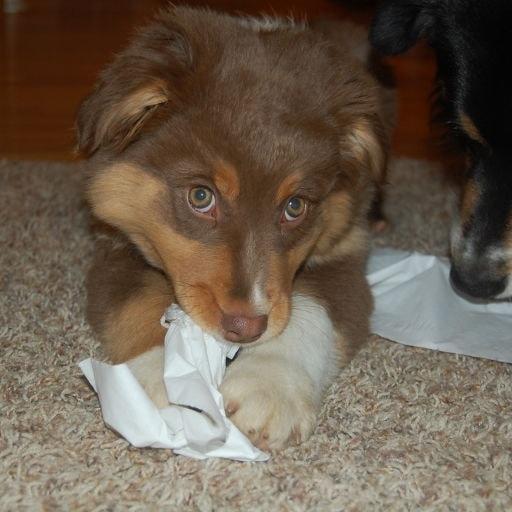 Wilson On Codepen - Abstract Pictures - Ultra HD Desktop Collection