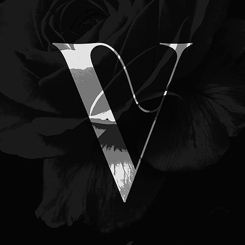 Rose On Codepen - Premium Nature Texture Gallery - Desktop