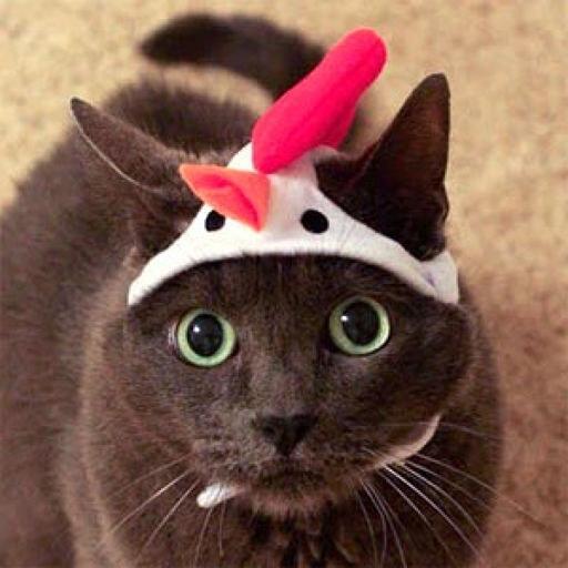 Ravecat On Codepen - Creative 4K Light Images | Free Download