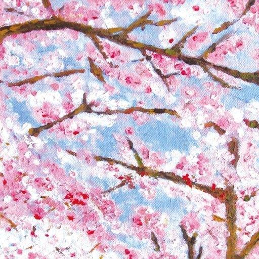 Guanting Chen On Codepen - Premium Ocean Photo Gallery - High Resolution