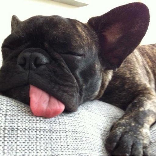 Marius Adam On Codepen - Premium City Pattern Gallery - 4K