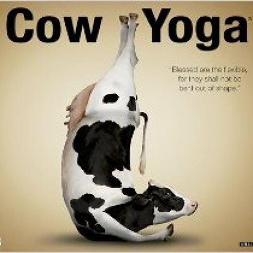 Jesse Hunter On Codepen - HD Colorful Images for Desktop