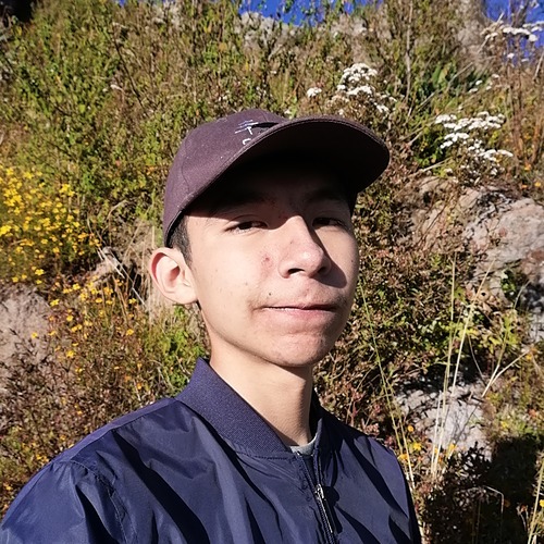 Adele Angel On Codepen - Mobile Dark Images for Desktop