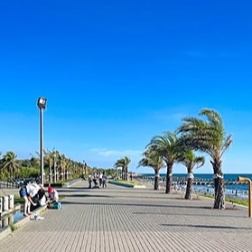 Andr Michelle On Codepen - Download Classic Abstract Texture | 4K