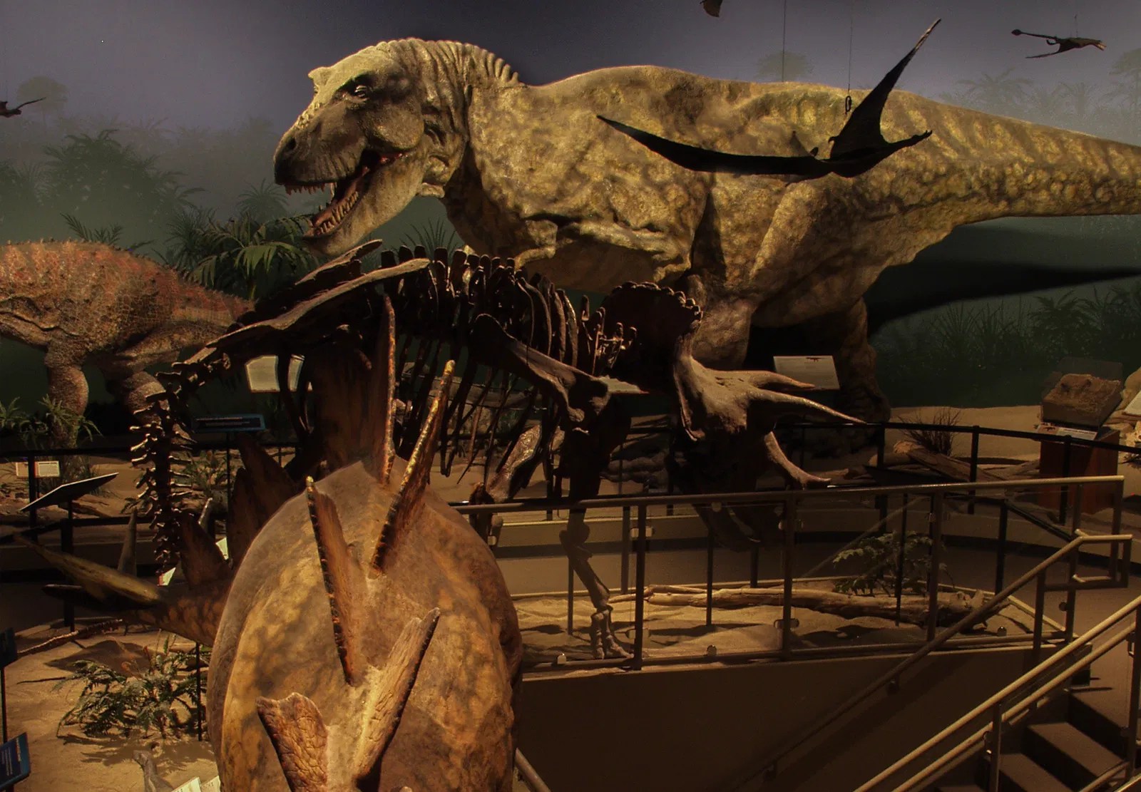 Dinosaur exhibit