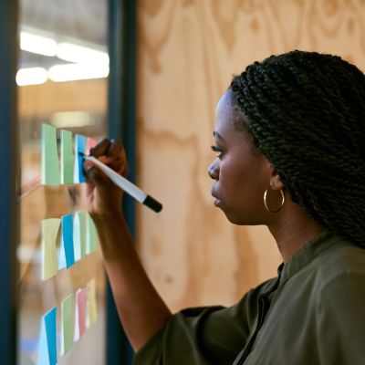 Overview Deloitte - Classic Nature Illustration - HD