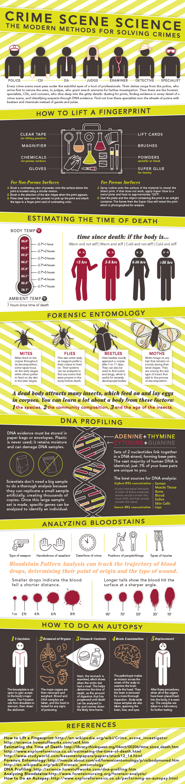 Crime Scene Science Infographic