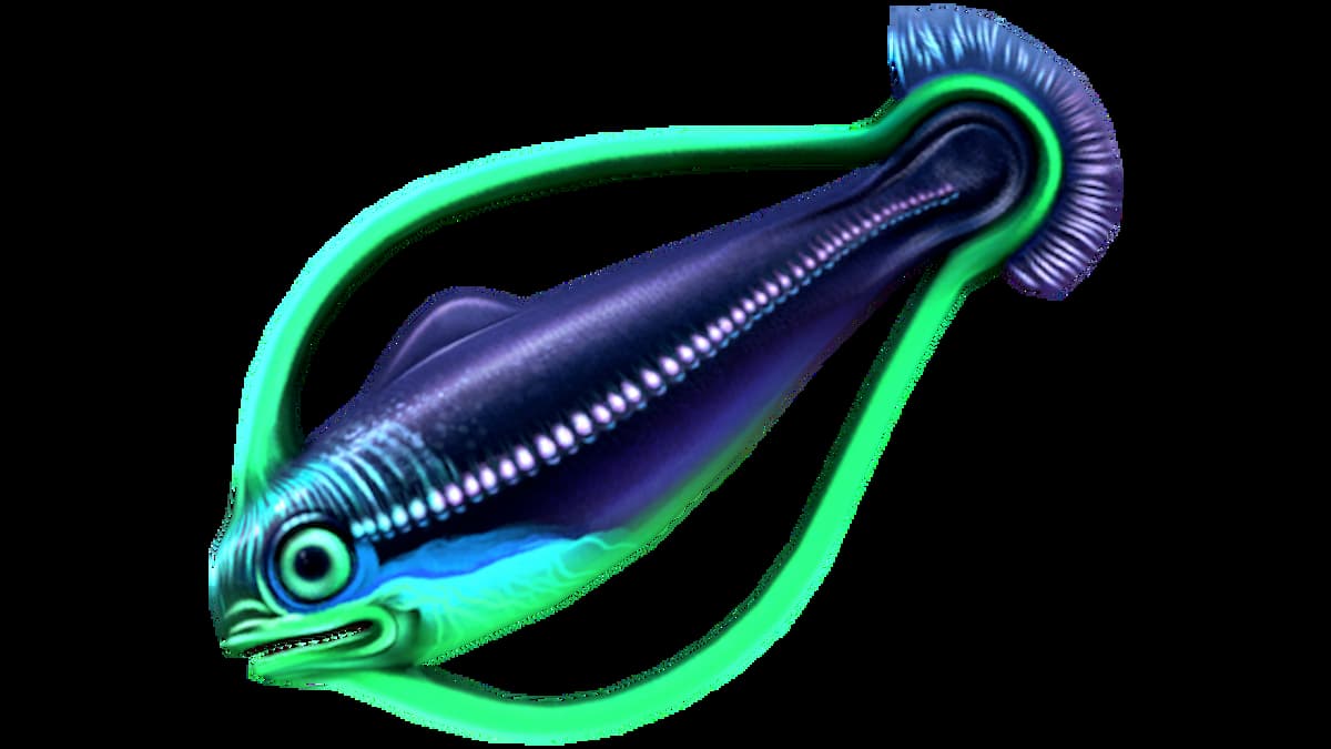 All creatures in subnautica: below zero