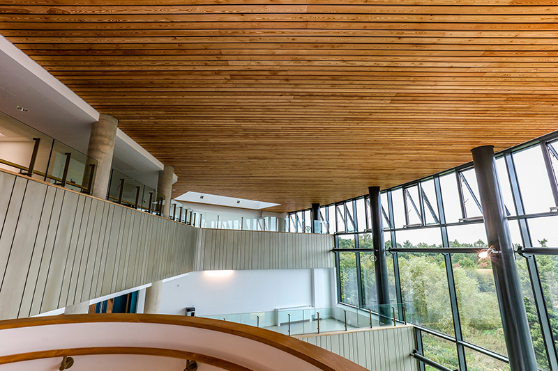 Solid Wood Linear Ceilings Wood Ceilings