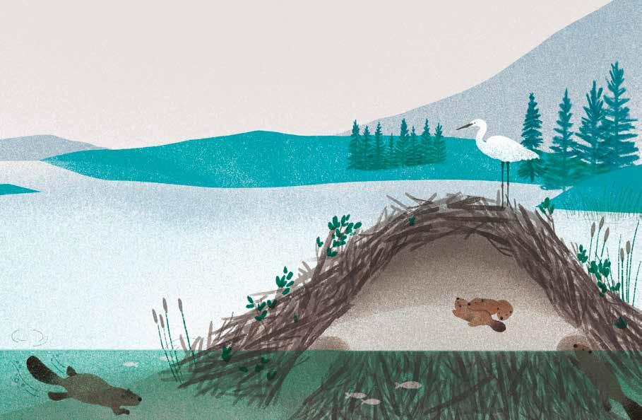 Redescubrir el mundo by akiara books