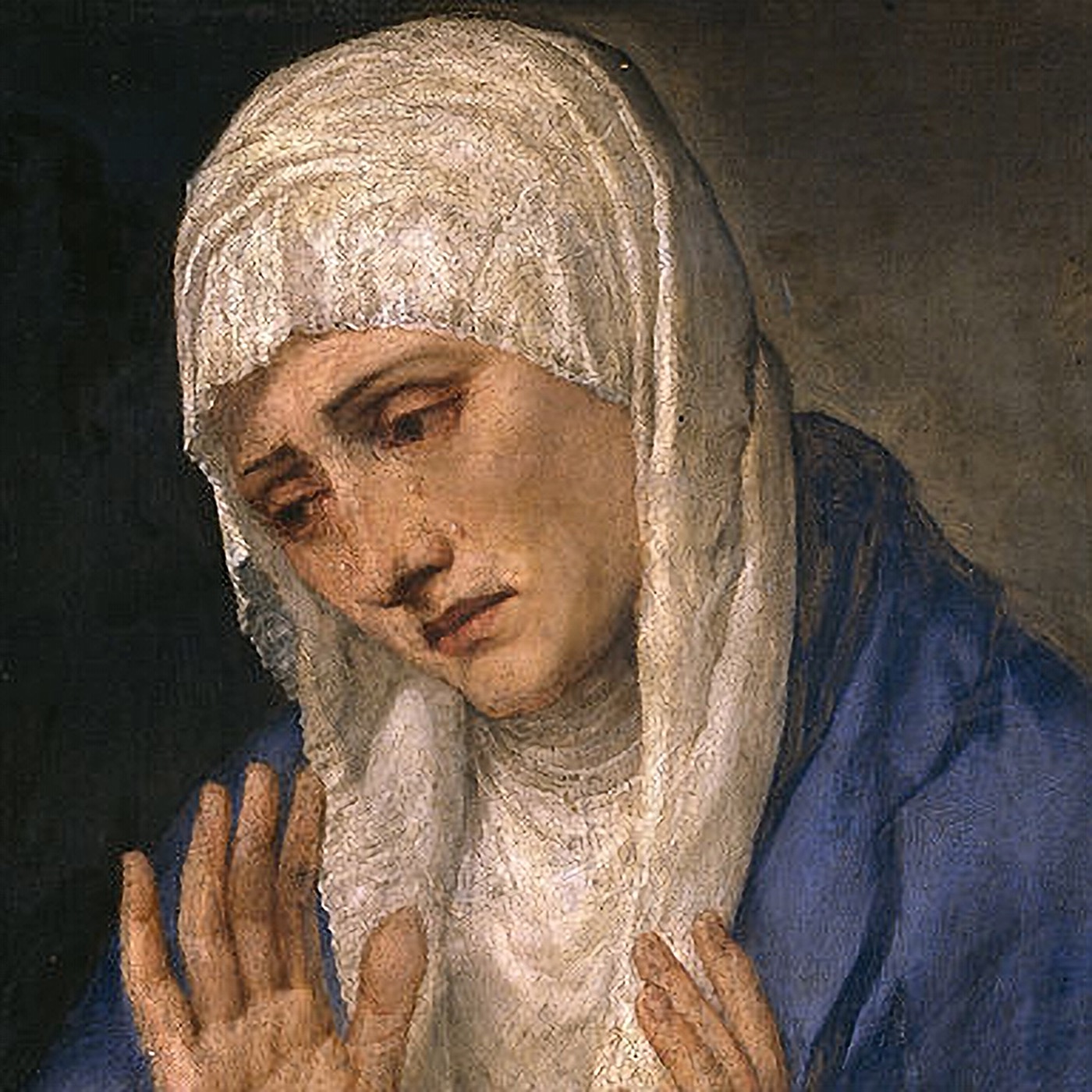 Devotion To The Sorrowful Mother Booklet From The Our Catholic Prayers - Best Minimal Textures in Mobile