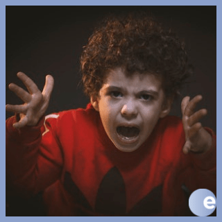 Stop Fighting Please - High Quality Nature Wallpaper - 4K