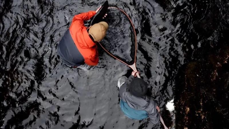 Steelhead FlyFishing School, Alaska Orvis