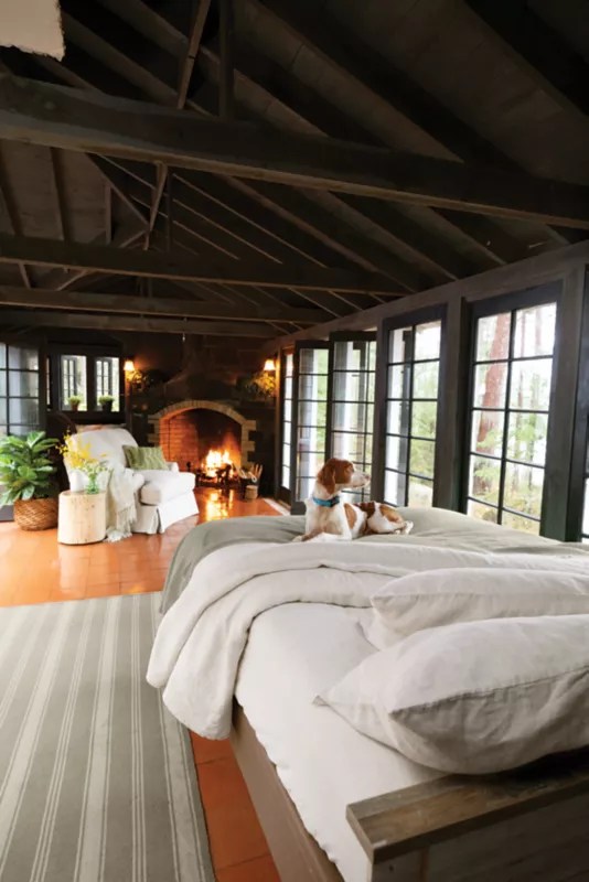 Home décor & furnishings