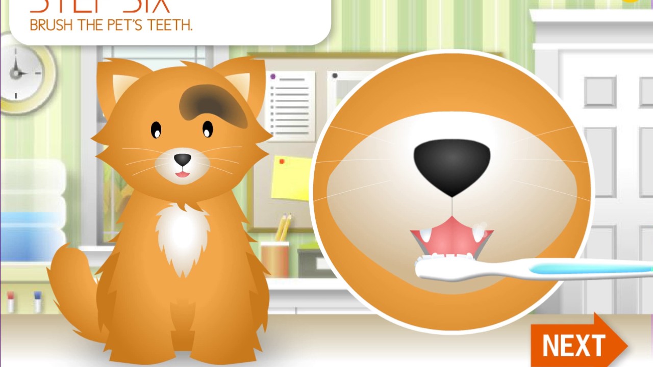 Etude Pact Store In Coex Starfield Amorepacific Design Center Eyewear In 2020 Store Design Interior Store Interiors Store Design Pet grooming may take time and effort but try to keep your house pet healthy and clean.