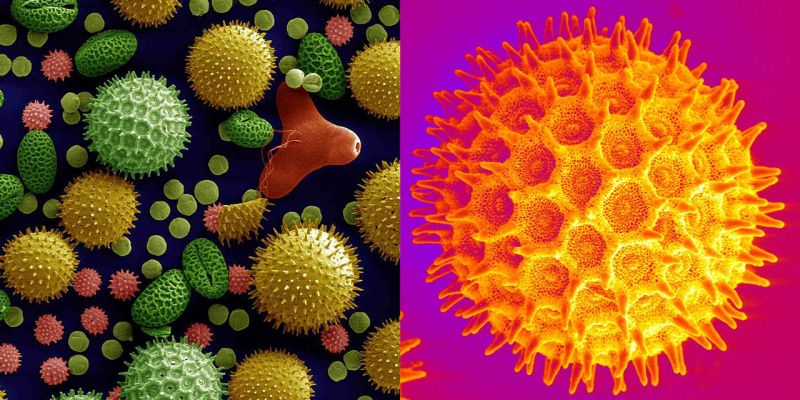 Pixar S Renderman Tutorial Electron Microscope - Ultra HD Dark Arts for Desktop