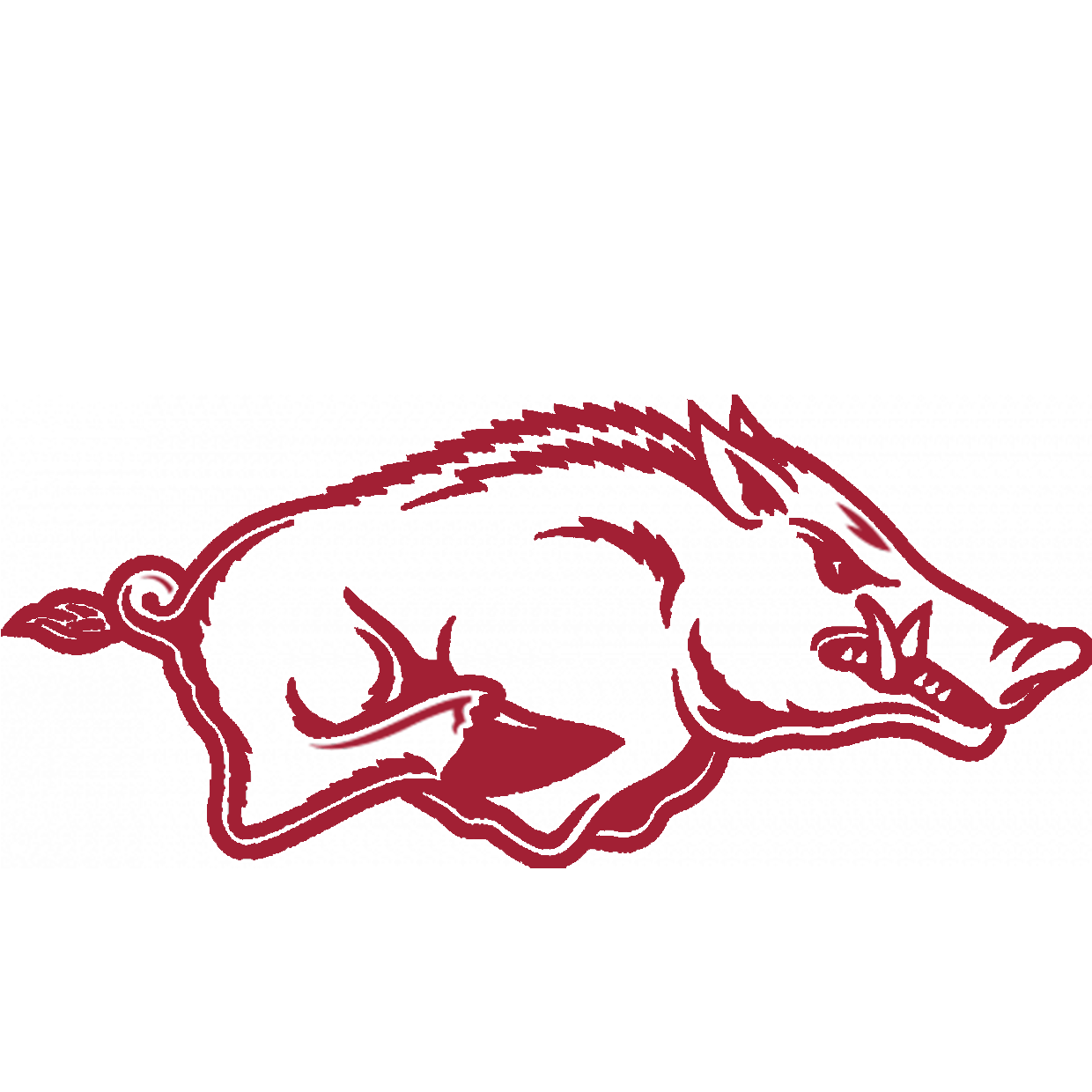 Arkansas razorbacks girls volleyball (texarkana, ar) schedule