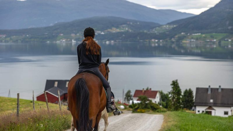 Rygg - Mobile Vintage Images for Desktop