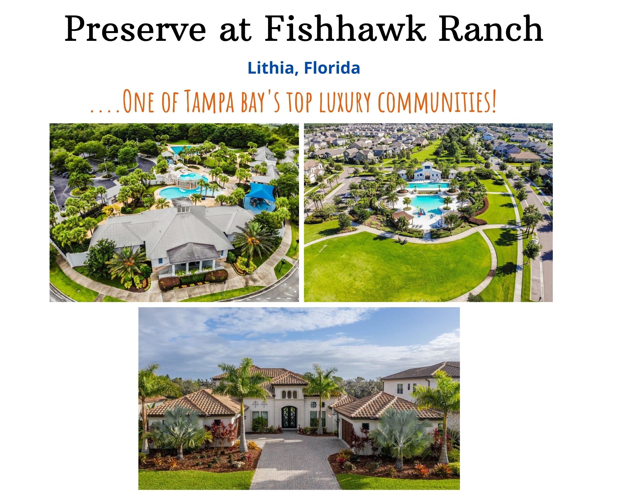 Preserve At Fishhawk Ranch Real Estate Preserve At Fishhawk Ranch Preserve At Fishhawk Ranch 